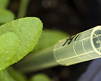 Representative picture of the project